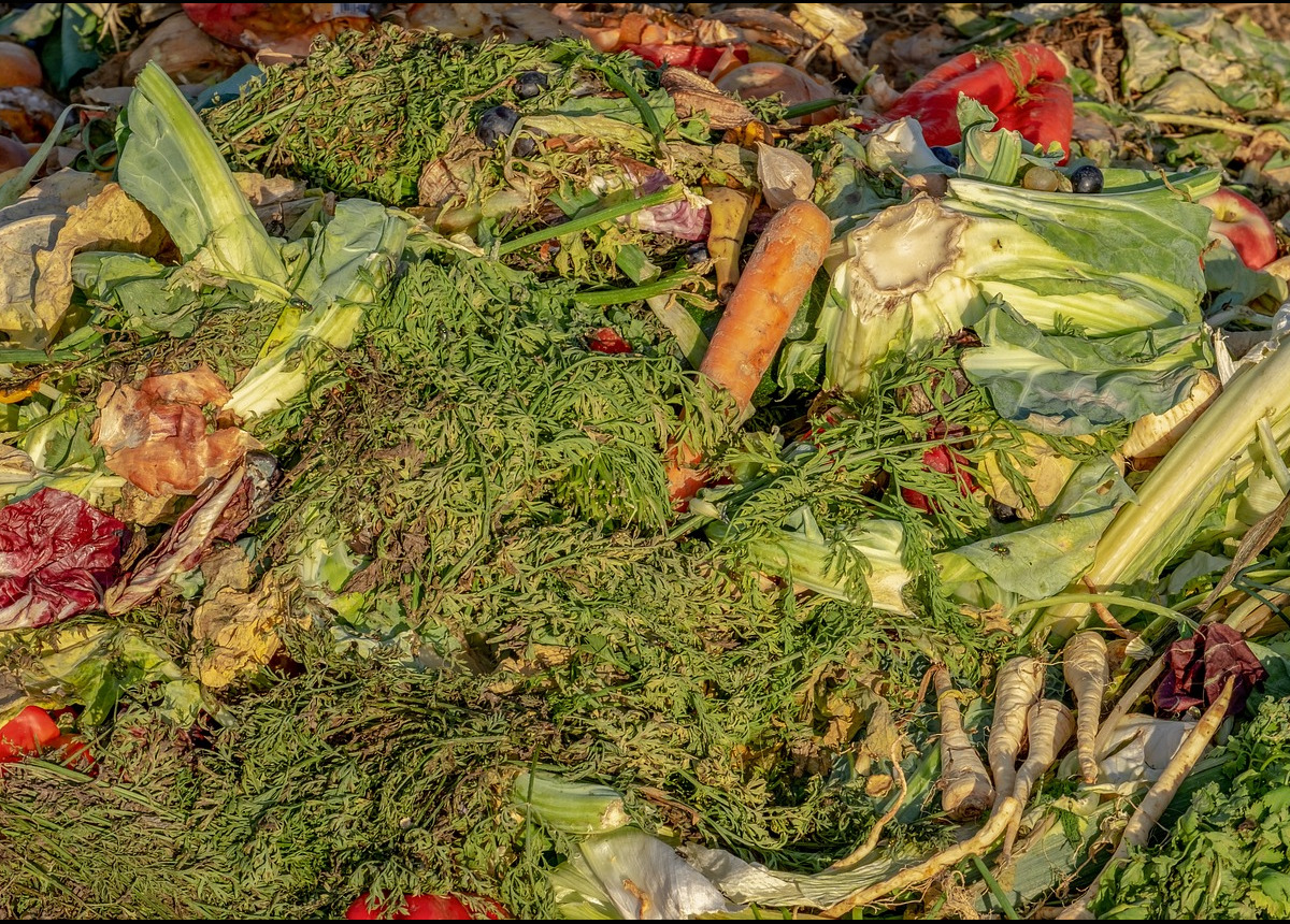 Sprechi alimentari: come evitarli in cinque mosse